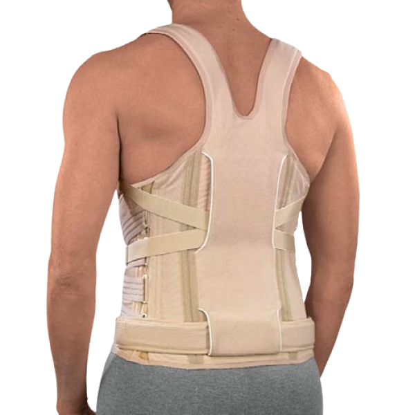 Νάρθηκας Κορμού 'TAYLOR II' με Ανατομικές Ράβδους Αλουμινίου και Ύφασμα Sat. 2709 Ortholand.  Νάρθηκας Κορμού 'TAYLOR II' με Ανατομικές Ράβδους Αλουμινίου και Ύφασμα Sat. 2709 Ortholand.