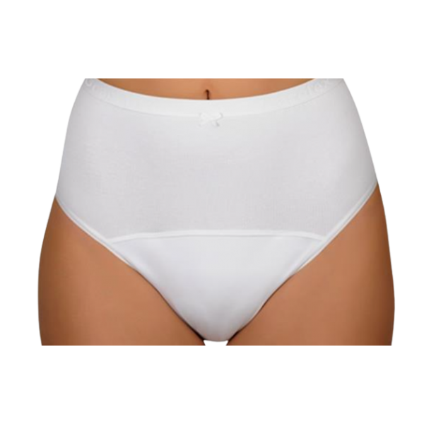 Πλενόμενο Γυναικείο Εσώρουχο Μέτριας Ακράτειας CARETEX CAMELLIA. Απορροφητικότητα 150ml. Λευκό. Πλενόμενο Γυναικείο Εσώρουχο Μέτριας Ακράτειας CARETEX CAMELLIA. Απορροφητικότητα 150ml. Λευκό.