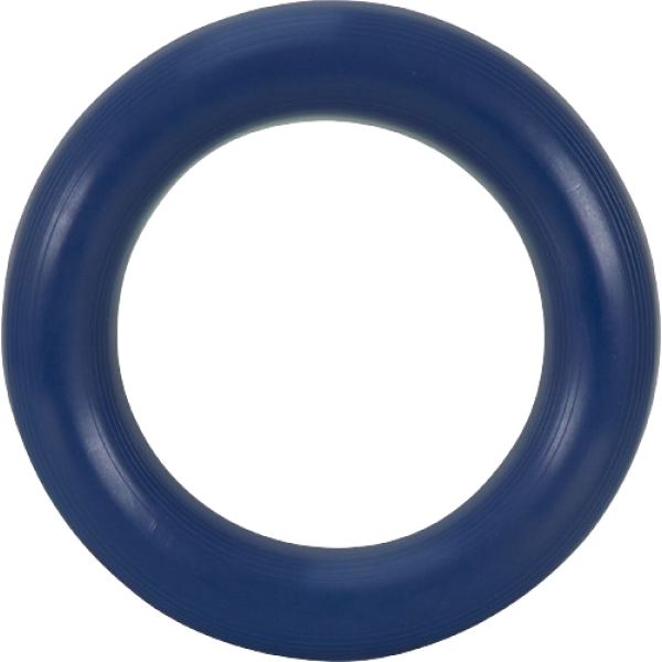 Δακτύλιοι Παιχνιδιών Ρίψεων για Παιδιά Amila Kids. Μπλε. 47823.  Δακτύλιοι Παιχνιδιών Ρίψεων για Παιδιά Amila Kids. Μπλε. 47823.