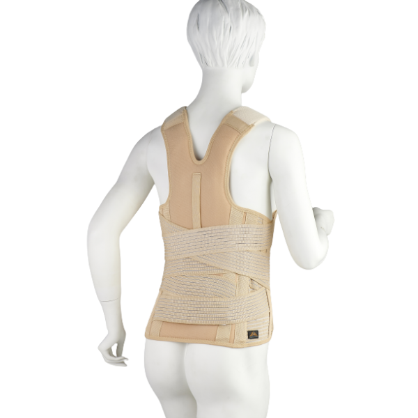 Νάρθηκας TAYLOR Ραχεο-οσφυϊκός Υφασμάτινος MB/1301. Πρόσθιο Ύψος 19cm. Μπεζ. Παροχή ΕΟΠΥΥ. Νάρθηκας TAYLOR Ραχεο-οσφυϊκός Υφασμάτινος MB/1301. Πρόσθιο Ύψος 19cm. Μπεζ. Παροχή ΕΟΠΥΥ.