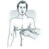 Ελαστικός Ακινητοποιητής Κλειδών Tynor Clavicle Brace. OIK/8503 Ortholand. Ελαστικός Ακινητοποιητής Κλειδών Tynor Clavicle Brace. OIK/8503 Ortholand.