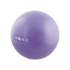 Μπάλα Γυμναστικής AMILA Pilates Ball 25cm Μωβ Bulk