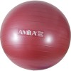 Μπάλα Γυμναστικής AMILA GYMBALL 55cm Κόκκινη Bulk