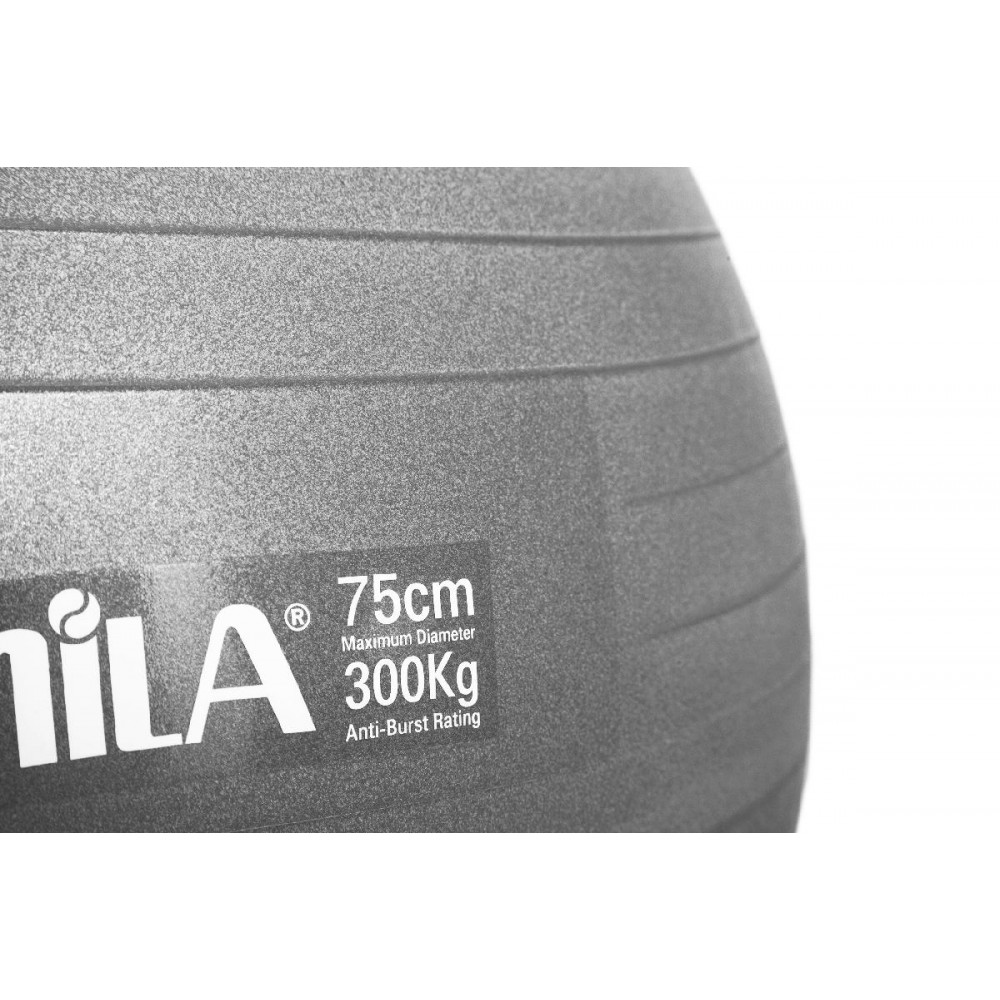 Μπάλα Γυμναστικής AMILA GYMBALL 75cm Γκρι Bulk