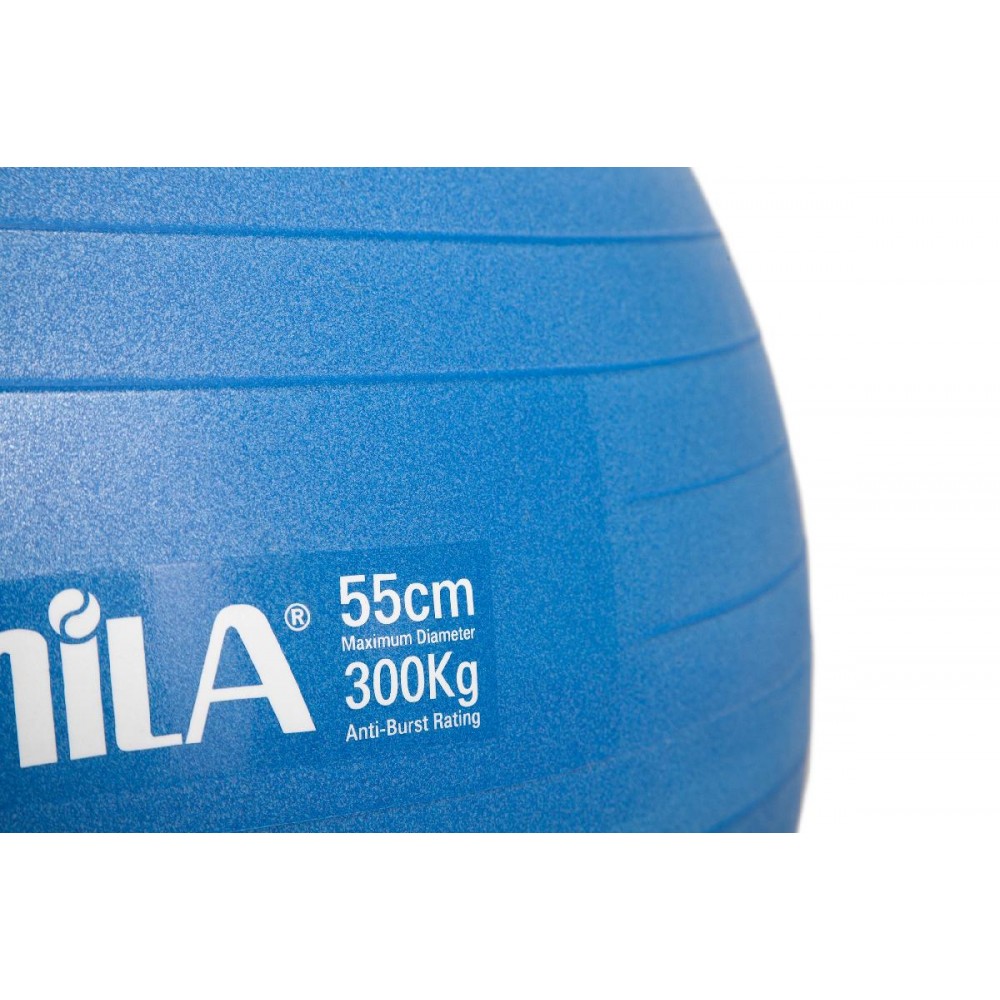 Μπάλα Γυμναστικής AMILA GYMBALL 55cm Μπλε Bulk Μπάλα Γυμναστικής AMILA GYMBALL 55cm Μπλε Bulk