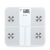 Smart FITBODY 4R