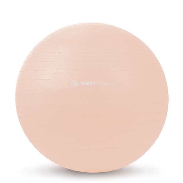 Μπάλα Γυμναστικής Estetica Gym Ball 55 cm Μπάλα Γυμναστικής Estetica Gym Ball 55 cm